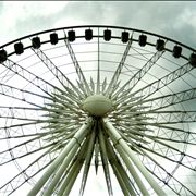 Picture Of Carousel Round