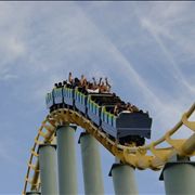 Picture Of Shark Roller Coaster